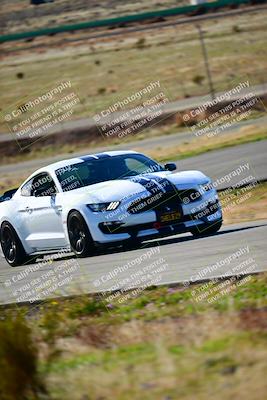 media/Jan-27-2024-VIP Trackdays (Sat) [[15b9b18693]]/Group A/Session 2 (Turn 3)/